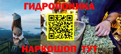 стафф Рязань